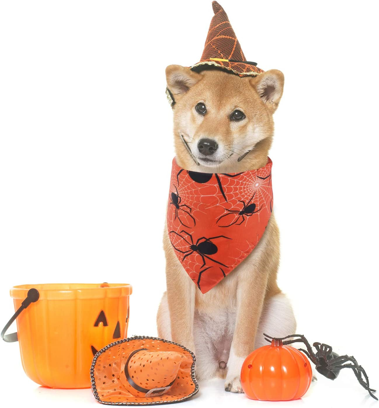 3 Pieces Pet Bandanas Halloween Dog Scarf Triangle Bandana Bibs with Pumpkin Spider Witch Hat Printed for Halloween Pet Costume Accessories Decoration Animals & Pet Supplies > Pet Supplies > Dog Supplies > Dog Apparel Frienda   