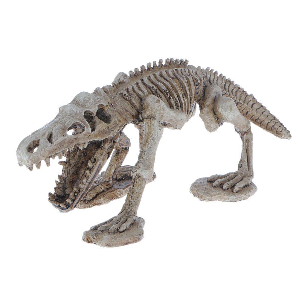 Resin Dinosaur Skeleton Ornaments for Reptile Amphibians Terrarium Vivarium Habitat Aquarium Landscape Decoration, Hideouts Hiding Places Animals & Pet Supplies > Pet Supplies > Small Animal Supplies > Small Animal Habitat Accessories perfk   