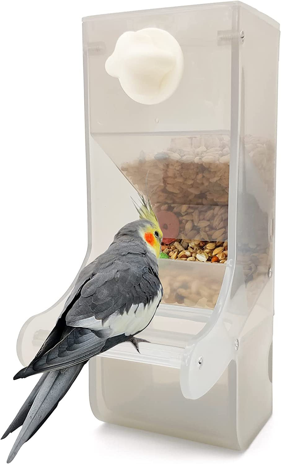 Parrot Automatic Feeder No Mess Bird Feeder for Cage Parakeet Seed Food Container Plastic Lovebirds Cage Accessories for Small Conures Budgies Canary Finches(Blue) Animals & Pet Supplies > Pet Supplies > Bird Supplies > Bird Cage Accessories Znfrt Gray  