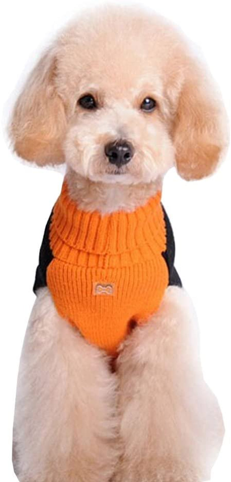 Bellaven Pet Clothes the Halloween Pumpkin Cat Dog Sweater, Dog Knitwear, Dog Apparel, Pet Sweatshirt Animals & Pet Supplies > Pet Supplies > Cat Supplies > Cat Apparel Bellaven   
