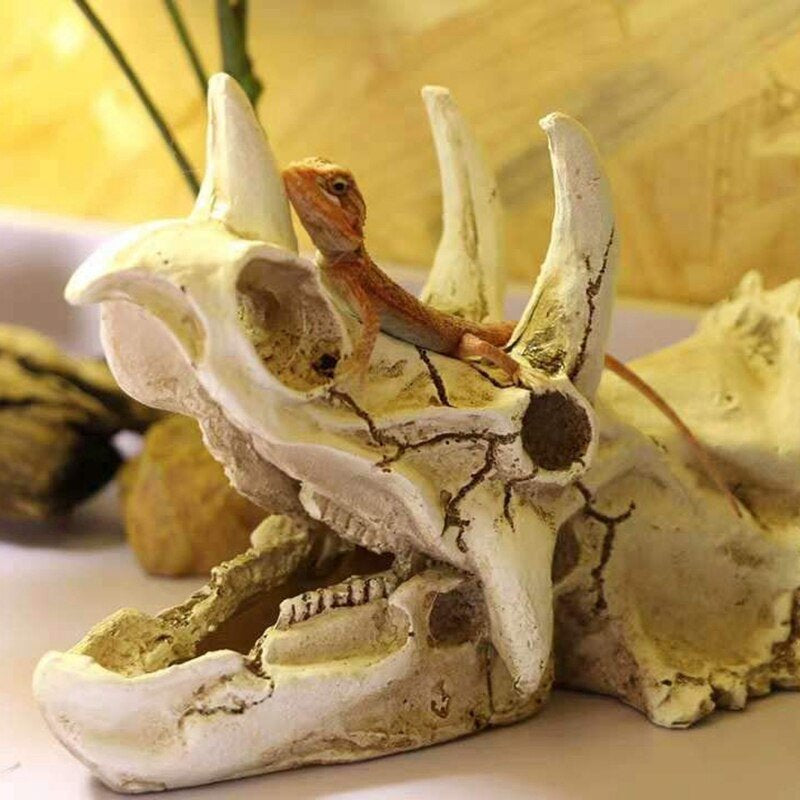 Reptiles Amphibians Habitat Hideaway Cave Aquarium Decorations Dinosaur Triceratops Imitation Skull Model|Decorations