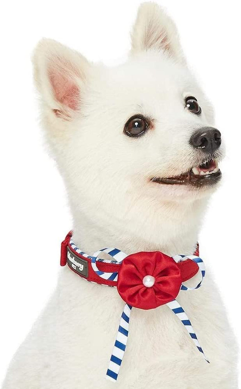 Blueberry Pet 4 Patterns Blue Hue Scottish Plaid Style Adjustable Tie Dog Collar, Small, Neck 12"-16" Animals & Pet Supplies > Pet Supplies > Dog Supplies > Dog Apparel Blueberry Pet Timeless Red (9"-12 1/2") Neck * 5/8" Wide (Pack of 1) 