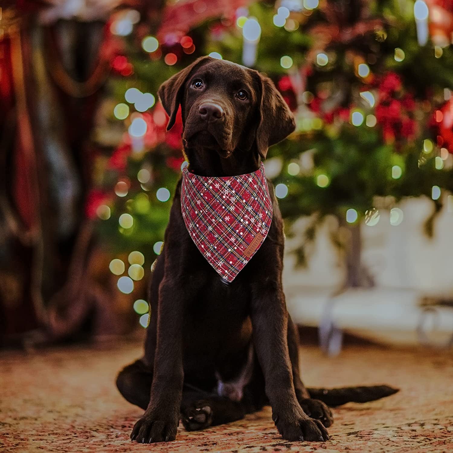 Adoggygo 2 Pack Dog Bandanas Christmas, Stylish Plaid Snowflake Dog Scarf, Premium Durable Fabric, Multiple Sizes Offered, Christmas Bandanas for Medium Large Dogs Pets (Large, Red) Animals & Pet Supplies > Pet Supplies > Dog Supplies > Dog Apparel ADOGGYGO   