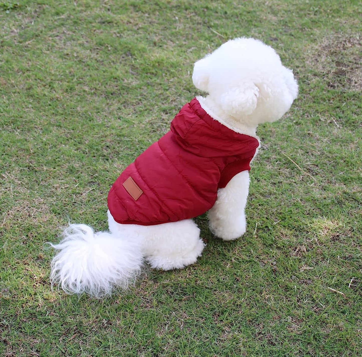 Vecomfy Fleece Lining Extra Warm Dog Hoodie in Winter,Small Dog Jacket Puppy Coats with Hooded,Red S Animals & Pet Supplies > Pet Supplies > Dog Supplies > Dog Apparel Yingxu   