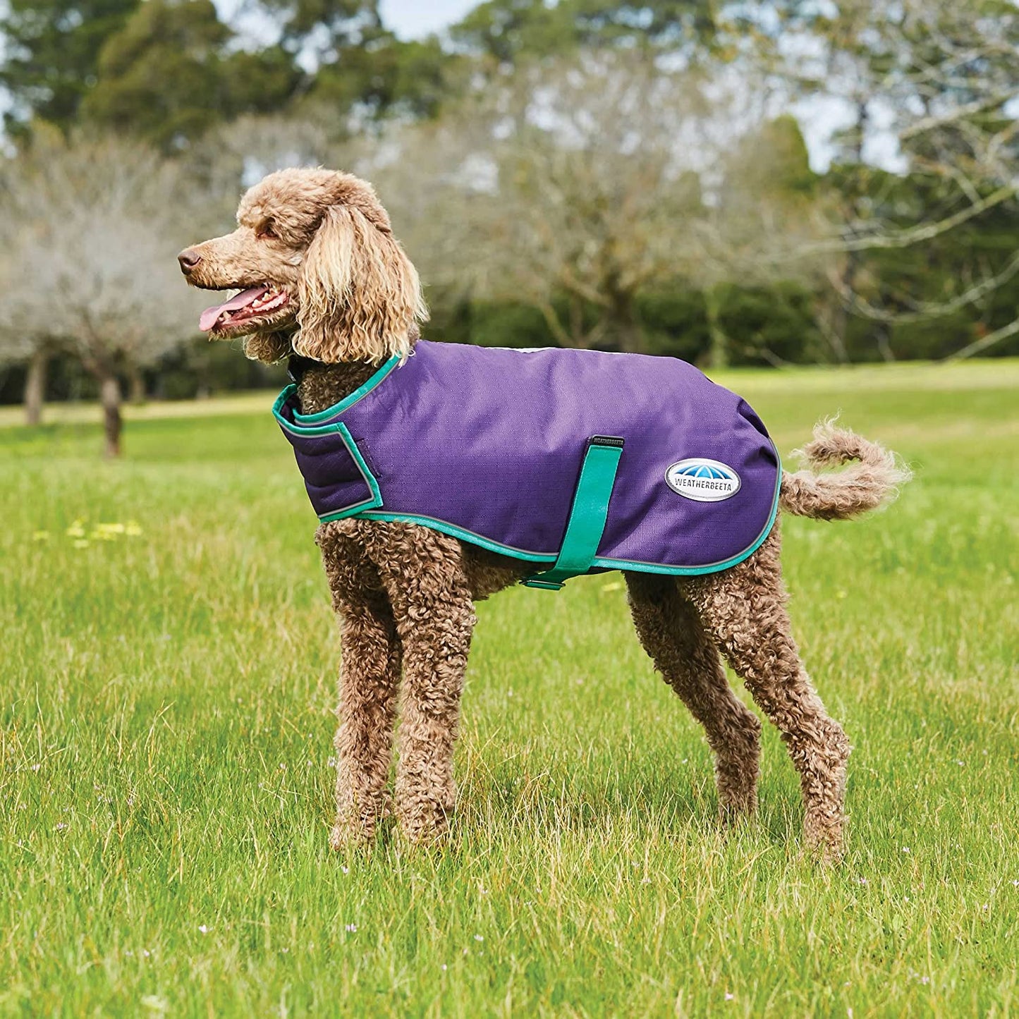 Weatherbeeta Comfitec Premier Free Parka Dog Coat Medium - Grape Purple/Blue - 24" Animals & Pet Supplies > Pet Supplies > Dog Supplies > Dog Apparel Weatherbeeta USA Inc.   