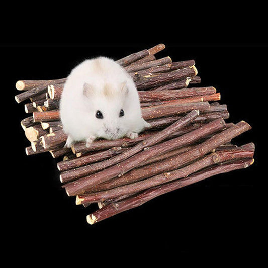 Natural Hamster Chew Sticks, Molar Cleaning Twigs, Bunny for Chinchilla Rodent Animals Squirrels Treats Groundhog Animals & Pet Supplies > Pet Supplies > Small Animal Supplies > Small Animal Treats perfeclan   