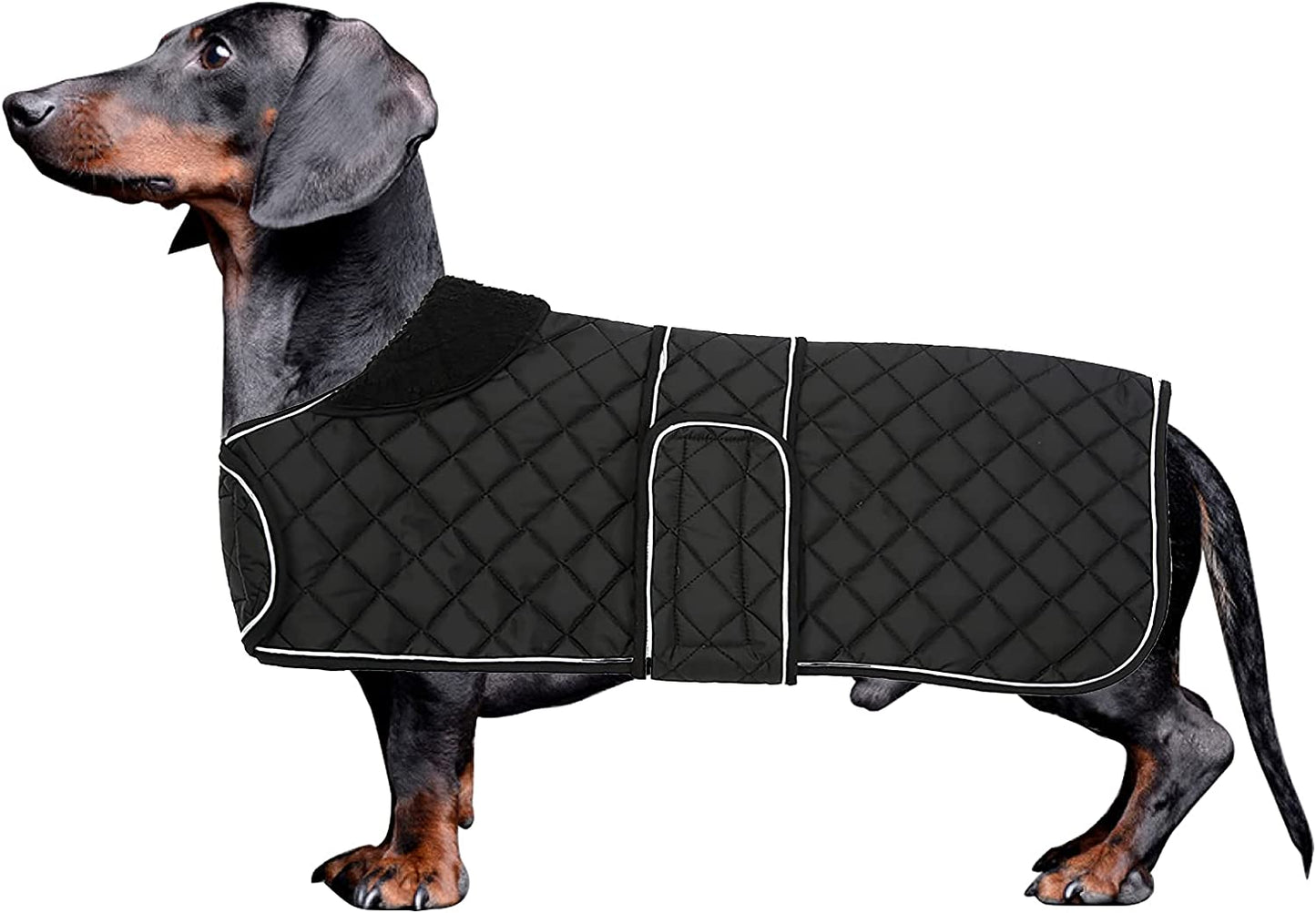 Morezi Dachshund Coats, Dachshund Coat, Coat for Dachshund, Dog Winter Coat with Padded Fleece Lining, Outdoor Dog Apparel with Adjustable Bands - Navy - L Animals & Pet Supplies > Pet Supplies > Dog Supplies > Dog Apparel Morezi Black X-Small(Back: 12"-13"in) 