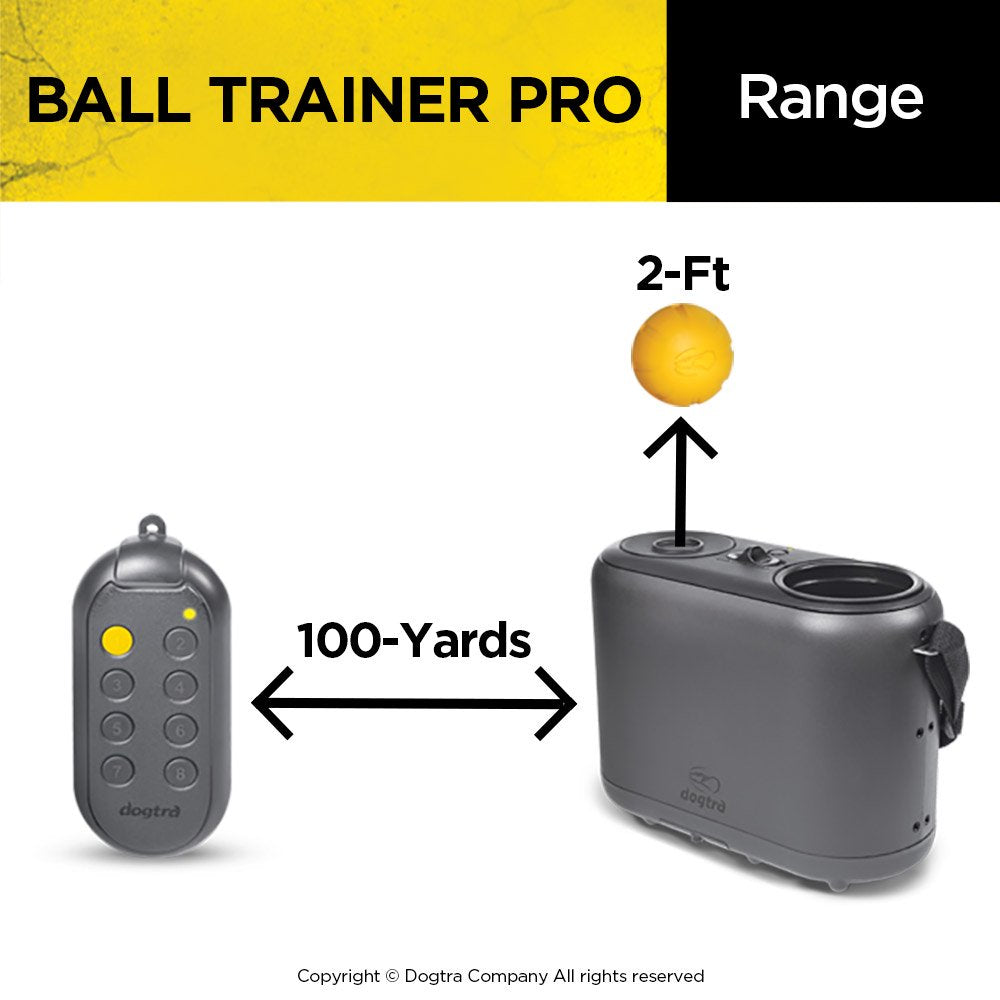 Dogtra BALL TRAINER PRO Dog Trainer Rechargeable 100-Yard Dual-Function Launcher/Dropper Animals & Pet Supplies > Pet Supplies > Dog Supplies > Dog Treadmills Dogtra   