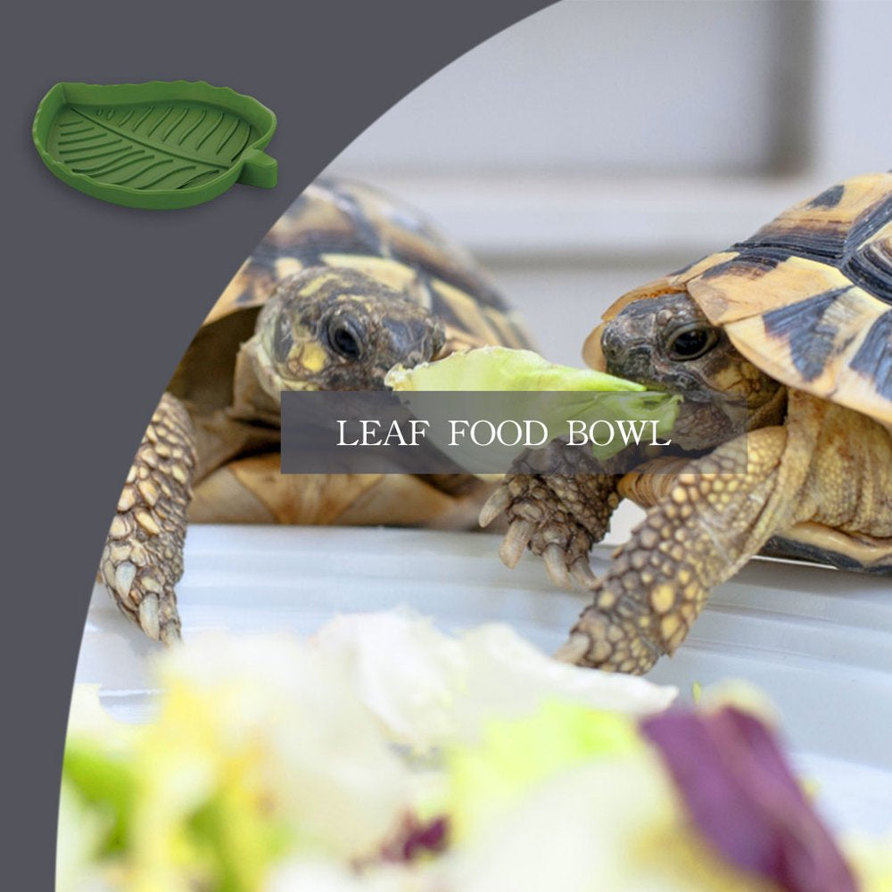 Tureclos Reptile Water Food Feeder Leaf-Shape Safety Smooth Surface Crawler Bowl Multi-Functional Feeding Basin Amphibians Pet Supplies Animals & Pet Supplies > Pet Supplies > Reptile & Amphibian Supplies > Reptile & Amphibian Food TureClos   