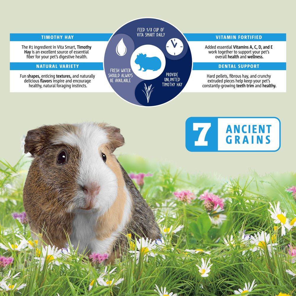 Vitakraft Vita Smart Guinea Pig Food - Complete Nutrition - Premium Fortified Blend with Timothy Hay for Guinea Pigs