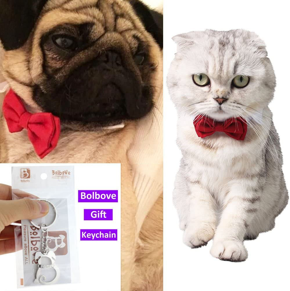 Bolbove Adjustable Formal Pet Bowtie Collar Neck Tie for Dogs & Cats (Small, Red) Animals & Pet Supplies > Pet Supplies > Dog Supplies > Dog Apparel Bolbove   