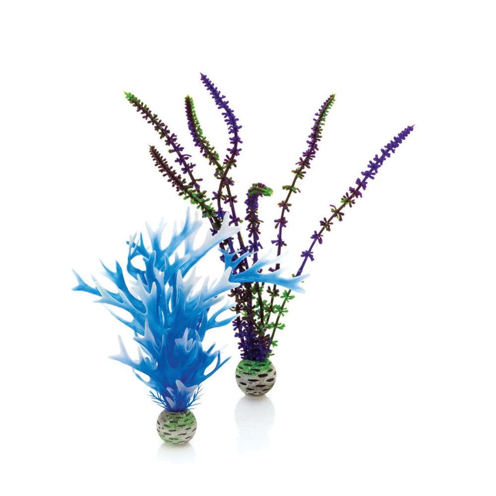 Biorb Aquarium Plant Set of 2, Plastic, Medium, Blue and Purple Animals & Pet Supplies > Pet Supplies > Fish Supplies > Aquarium Decor Oase   