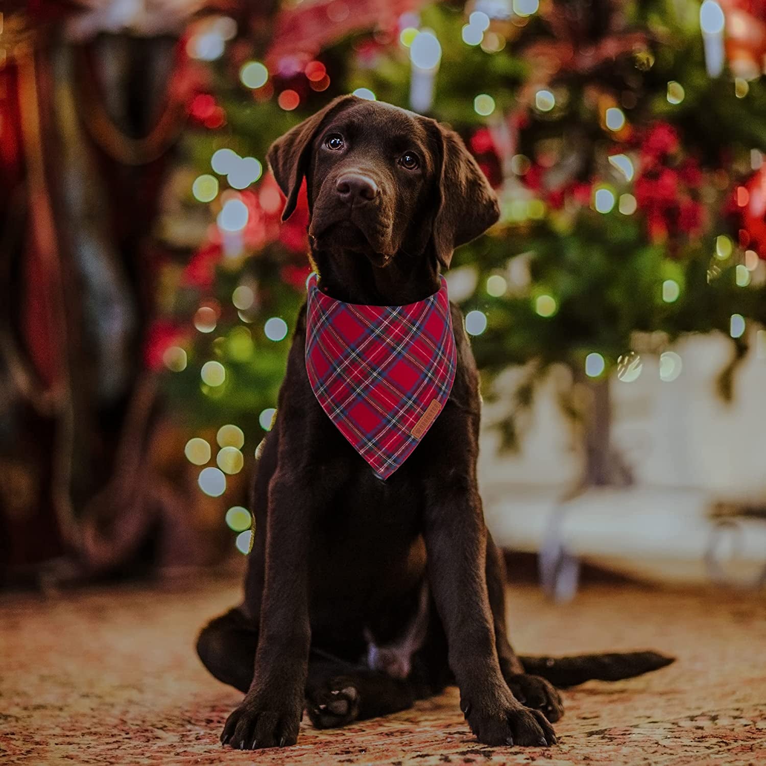 Adoggygo Christmas Dog Bandana 2 Pack, Stylish Plaid Dog Scarf, Premium Cotton Fabric, Multiple Sizes Offered, Christmas Bandanas for Medium Large Dogs Pets (Large) Animals & Pet Supplies > Pet Supplies > Dog Supplies > Dog Apparel ADOGGYGO   