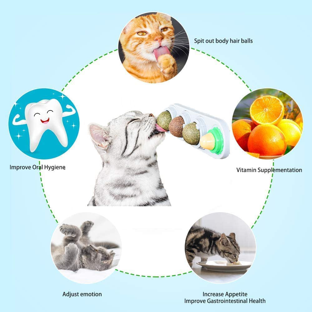 Catnip Ball Toy, Rotating Natural Catnip Ball Toys Wall Mount Treats Licking Cat Molar Teething Toy with Solid Candy Ball