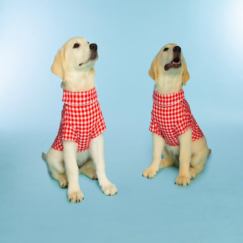 Doggy Parton, Dog Clothes, Gingham Western Dog or Cat Shirt, Red, XS Animals & Pet Supplies > Pet Supplies > Cat Supplies > Cat Apparel Mission Pets, Inc   