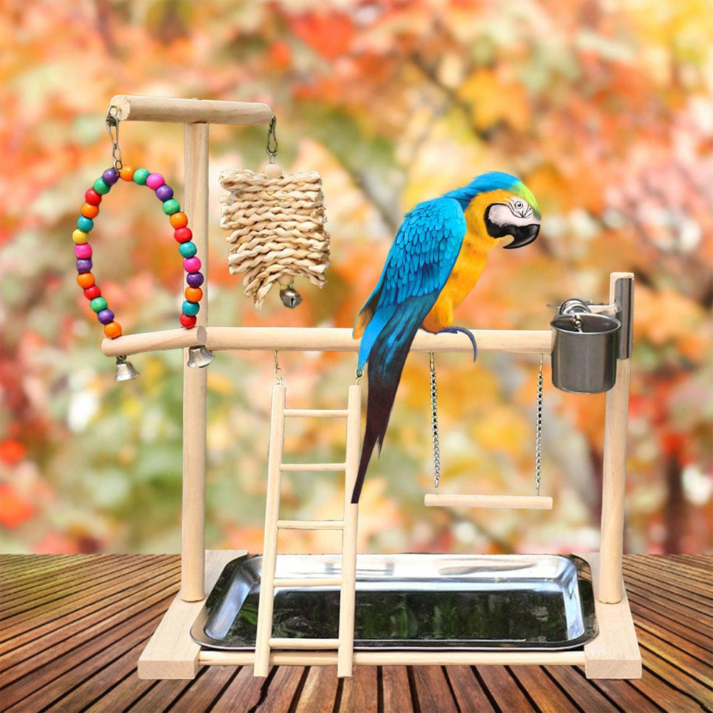 Pet Playstand Bird Playground with Feeder Cups Bells Bird Playpen Solid Wood Perch Bird Gym Climbing Ladder Chewing Parakeet