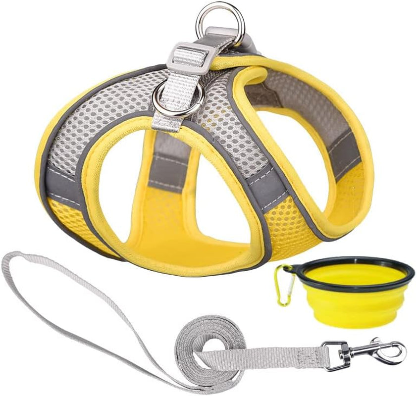 Dog Harness and Leash Set Reflective Pet Puppy Vest Harnesses Adjustable Step in Soft Mesh for Medium Girl Boy Cats Kitten Orange Animals & Pet Supplies > Pet Supplies > Dog Supplies > Dog Apparel Weimostar Yellow-Gray S 