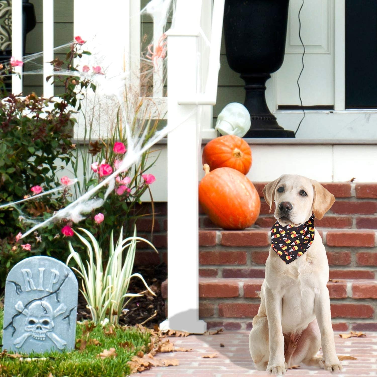 Whaline 5 Pack Halloween Dog Bandanas, Triangle Pet Scarfs Washable Pet Neckerchief Dog Bibs, Pumpkin, Ghost, Candy Corn and Bones Pet Bandanas Animals & Pet Supplies > Pet Supplies > Dog Supplies > Dog Apparel Whaline   