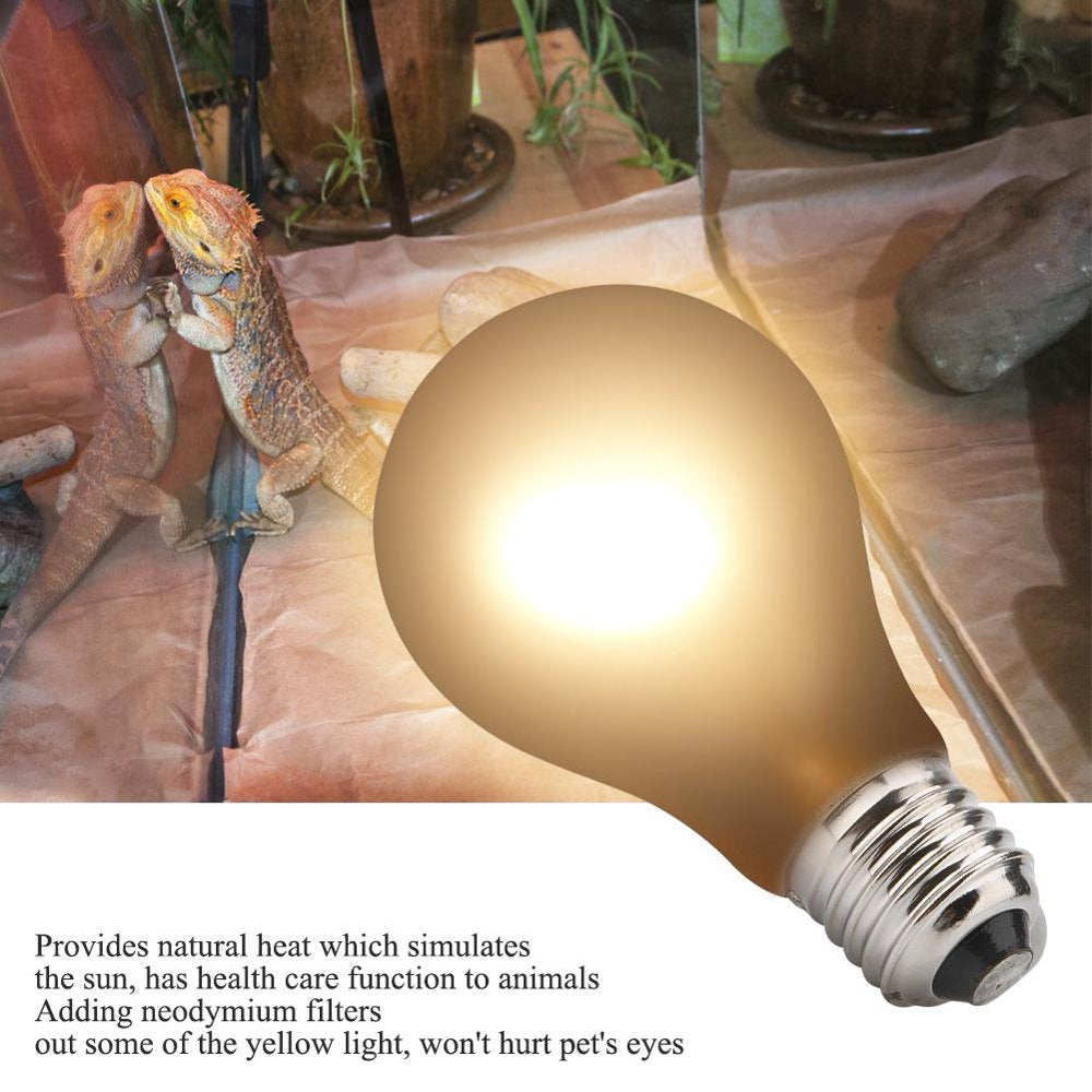 EBTOOLS 2Types 220V Heating Light Lamp Heating Warming Bulb for Reptile Pet Amphibian, Heating Lamp,Heating Light Animals & Pet Supplies > Pet Supplies > Reptile & Amphibian Supplies > Reptile & Amphibian Habitat Heating & Lighting EBTOOLS   