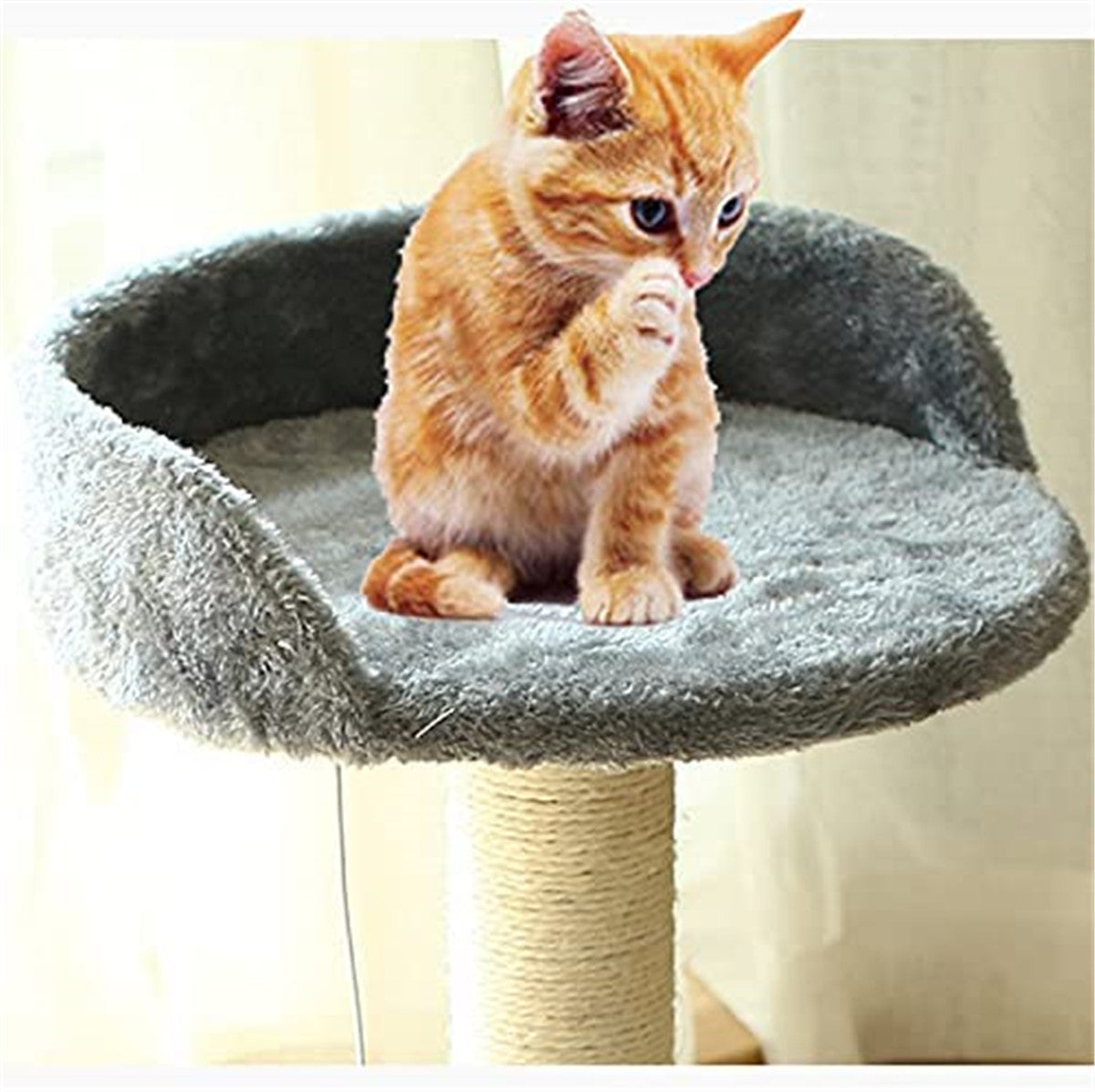 Cat Tree Scratching Post Scratcher Tower Condo Furniture Trees Small Cat Tree with Large Platform for Kitten Animals & Pet Supplies > Pet Supplies > Cat Supplies > Cat Furniture HUA TRADE   