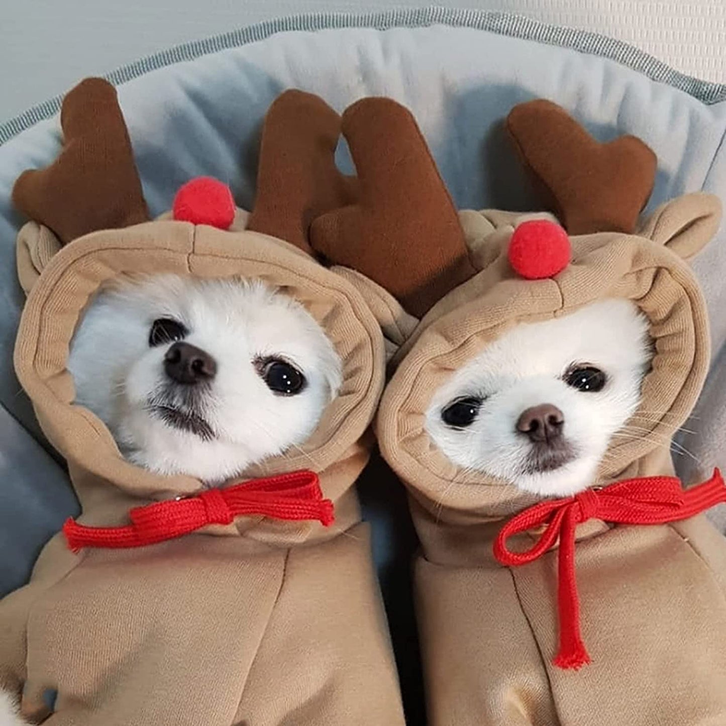 YAODHAOD Dog Hoodie, Dog Basic Sweater Coat Cute Elk Warm Pet Cold Weather Sweaters Clothes Winter Dog Costume Sweatshirt Coat Chihuahua (Elk, Small) Animals & Pet Supplies > Pet Supplies > Dog Supplies > Dog Apparel YAODHAOD   