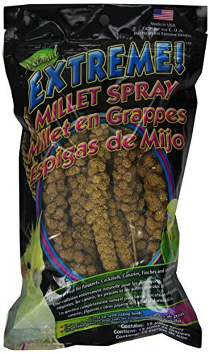 Brown'S Extreme Natural Millet Spray Bird Treats, 12 Count Animals & Pet Supplies > Pet Supplies > Bird Supplies > Bird Treats F.M. Brown's Sons, Inc.   