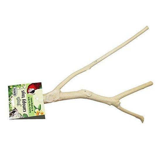 Exotic Nutrition Multi-Branch Perch (Large) - Durable Branch Cage Accessory - Sugar Glider, Rat, Parrot, Conure, Bird Animals & Pet Supplies > Pet Supplies > Bird Supplies > Bird Cage Accessories Exotic Nutrition   