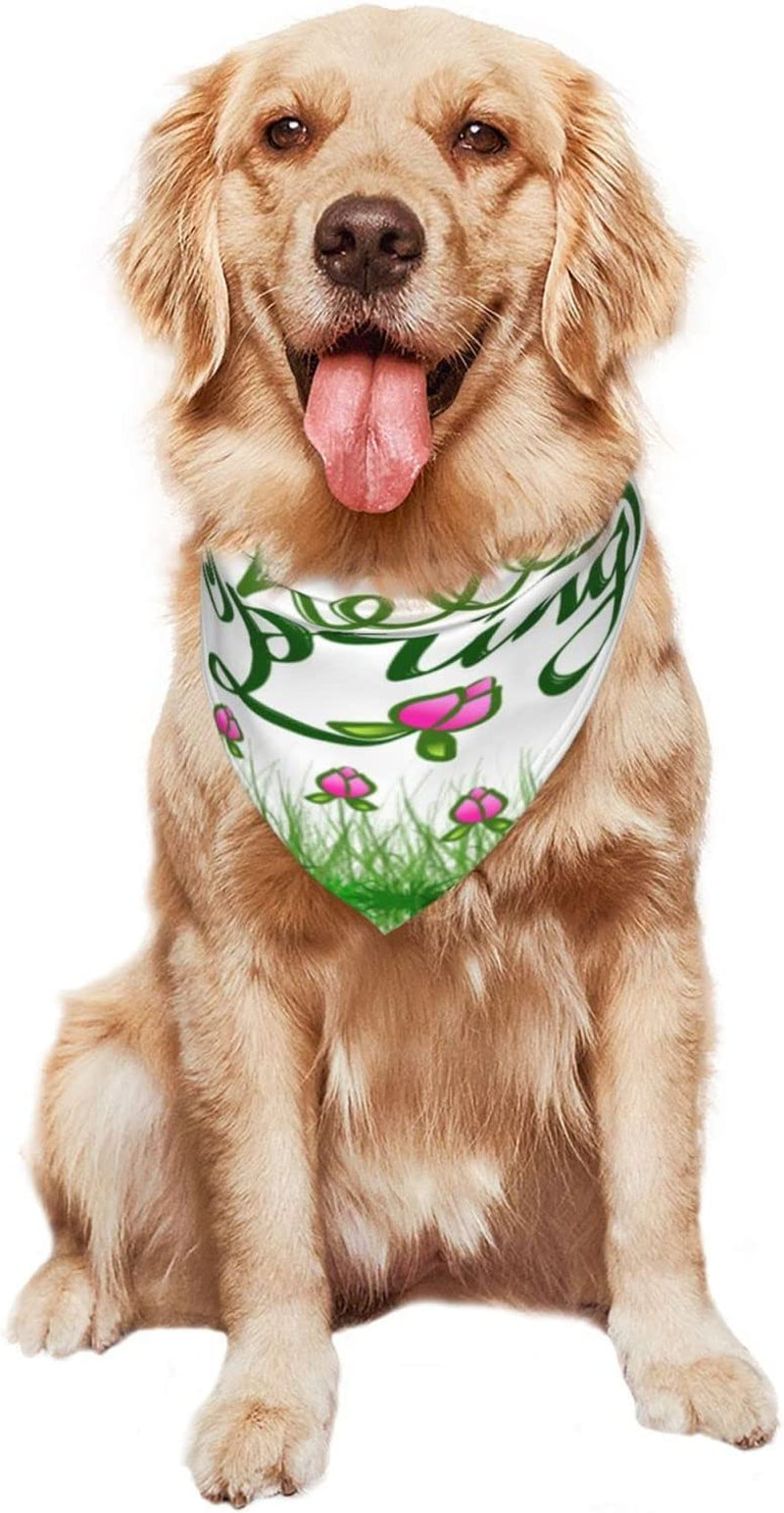 Hand Lettering Hello Spring Pet Dog and Cat Decorative Triangle Scarf,Dog Bandana,Breathable and Stain Resistant. Animals & Pet Supplies > Pet Supplies > Dog Supplies > Dog Apparel ZALTAS   