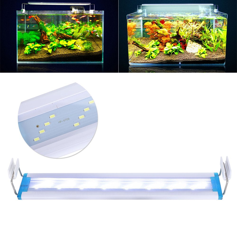 Ccdes Fish Tank Hood Light,Fish Tank LED Light,Ultra‑Thin Aquarium Light 32 LED Beads Fish Tank White Lighting Lamp Clip‑On US Plug 110V Animals & Pet Supplies > Pet Supplies > Fish Supplies > Aquarium Lighting Ccdes   