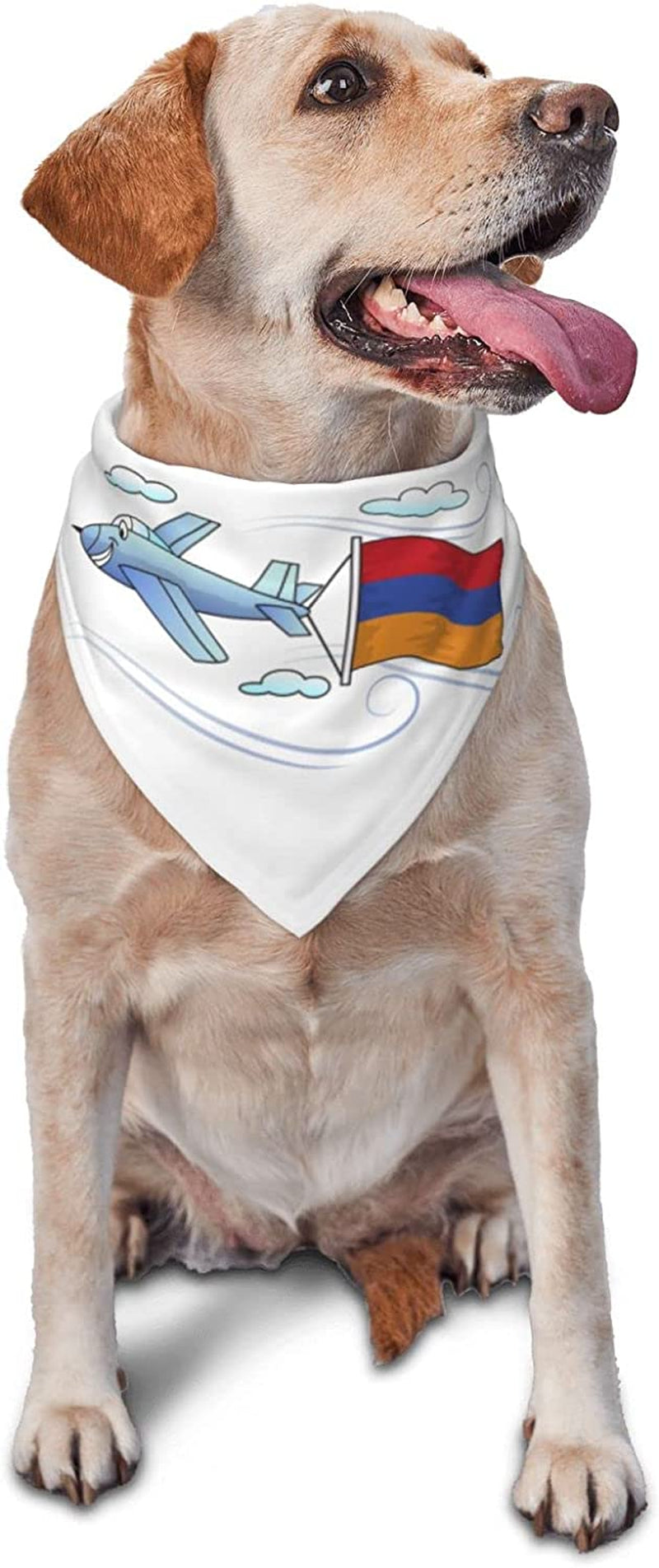 Airplane with Armenian Flag Pet Dog and Cat Decorative Triangle Scarf,Dog Bandana,Breathable and Stain Resistant. Animals & Pet Supplies > Pet Supplies > Dog Supplies > Dog Apparel ZALTAS   