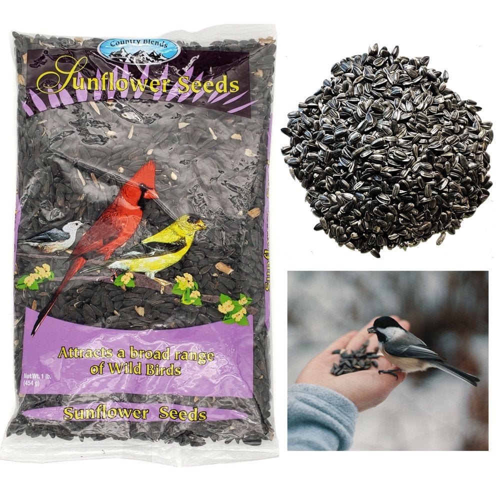 1Lb Black Oil Sunflower Seed Wild Bird Feed Food Attract Birds Protein Nutrition Animals & Pet Supplies > Pet Supplies > Bird Supplies > Bird Food JC SALES   