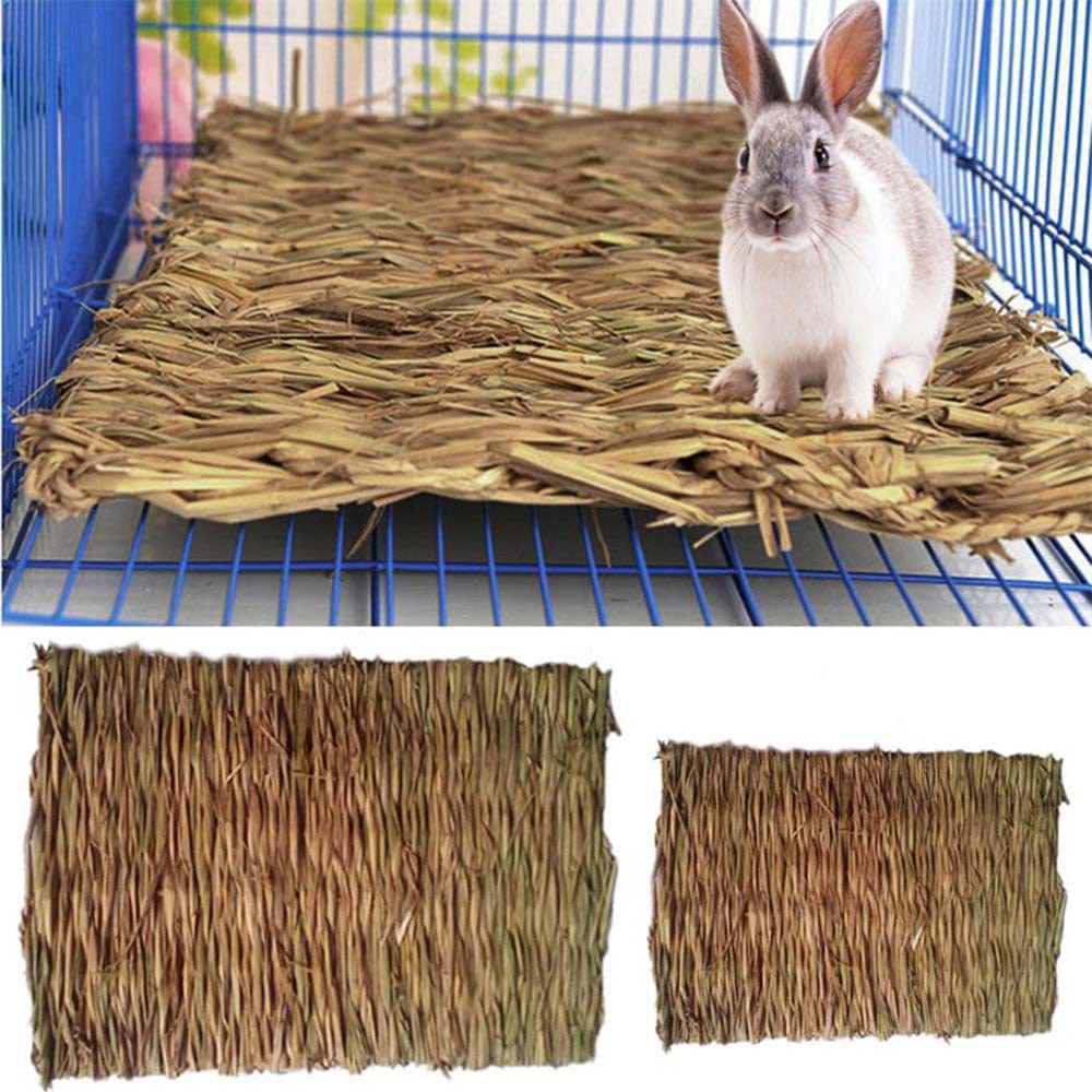 1Pc Pet Rabbit Chew Mat Breakers Hamster Grass Mat Toy Small Animal Rat Guinea Pig Interesting Pet Toys 2 Sizes Latest Animals & Pet Supplies > Pet Supplies > Small Animal Supplies > Small Animal Bedding HeQu   