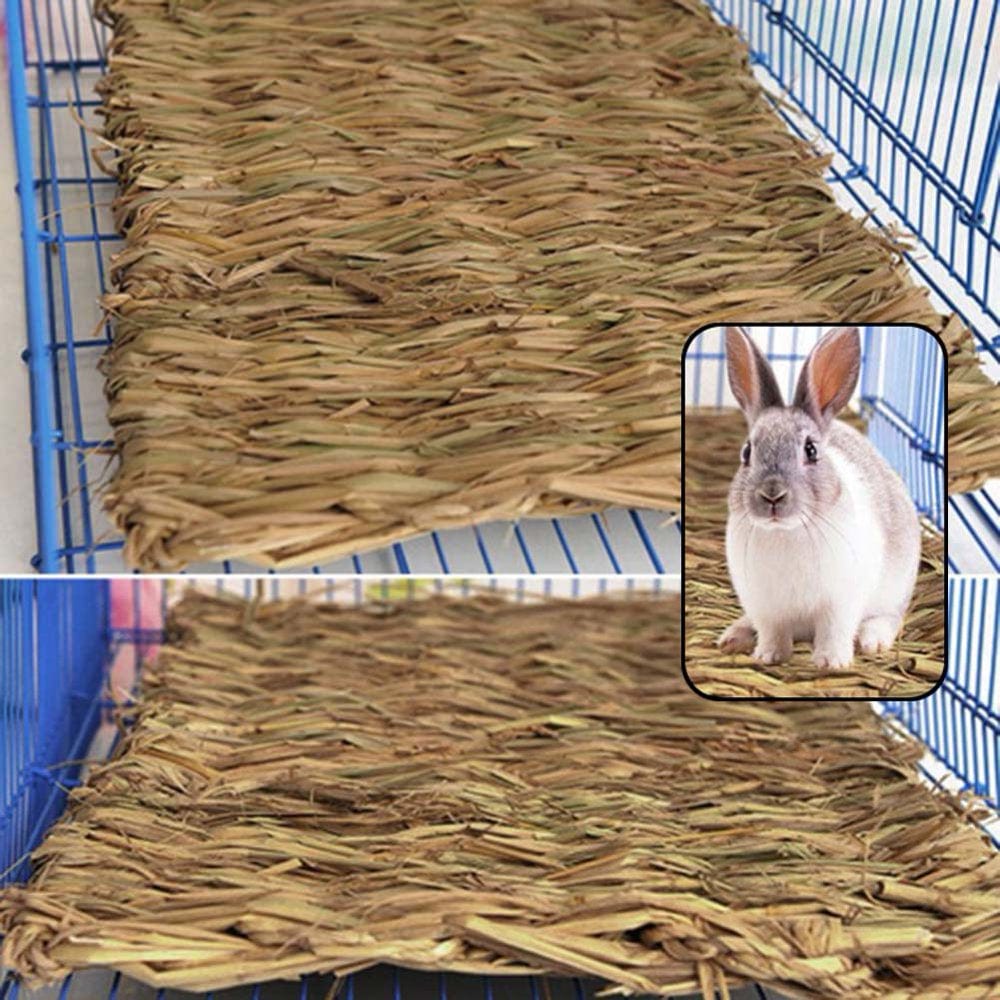 1Pc Pet Rabbit Chew Mat Breakers Hamster Grass Mat Toy Small Animal Rat Guinea Pig Interesting Pet Toys 2 Sizes Latest Animals & Pet Supplies > Pet Supplies > Small Animal Supplies > Small Animal Bedding HeQu   