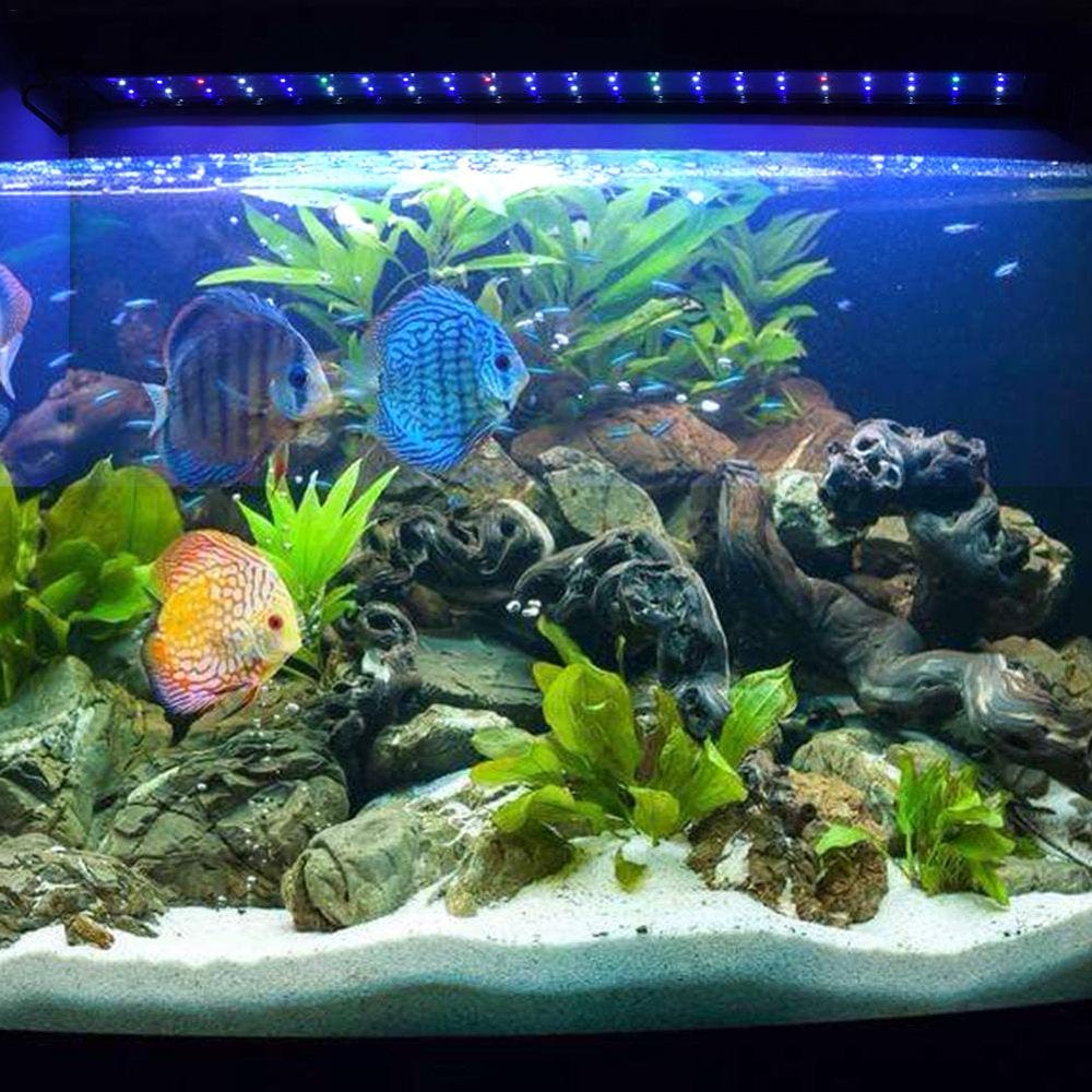 (1Pcs)24" 36" 48" Multicolor LED Aquarium Light Full Spec Plant Fish Tank 42 66 87Leds Animals & Pet Supplies > Pet Supplies > Fish Supplies > Aquarium Lighting MINOCOOL   