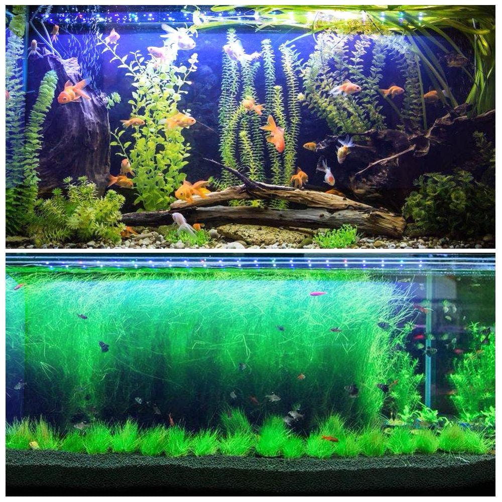 (1Pcs)24" 36" 48" Multicolor LED Aquarium Light Full Spec Plant Fish Tank 42 66 87Leds Animals & Pet Supplies > Pet Supplies > Fish Supplies > Aquarium Lighting MINOCOOL   