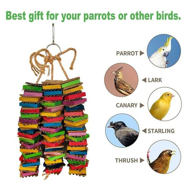 1X(Parrot Toys for Large Birds Cardboard Big Bird Toys African Grey Parrot Toys Animals & Pet Supplies > Pet Supplies > Bird Supplies > Bird Toys China   