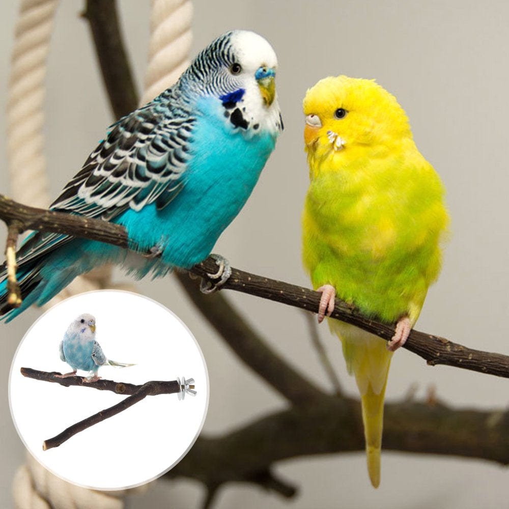 2/10Pcs Parrot Bird Perches Natural Wood Bird Standing Stick Parrot Perch Stand Platform Wooden Exercise Climbing Paw Grinding Toy Birdcage Accessories for Parakeet Parrot Budgie Lovebirds Animals & Pet Supplies > Pet Supplies > Bird Supplies > Bird Cage Accessories Fznkrag   