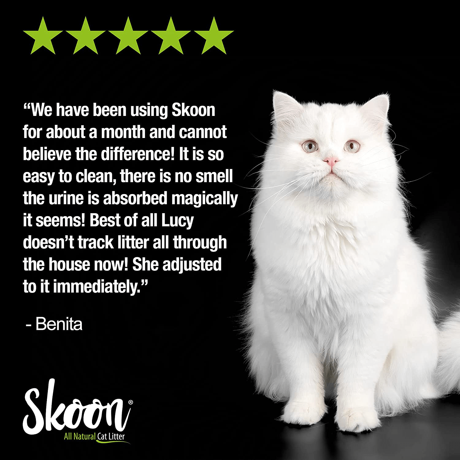 (2 Bags) Skoon All-Natural Cat Litter – Light-Weight, Non-Clumping, Low Maintenance, Eco-Friendly - Absorbs, Locks and Seals Liquids for Best Odor Control. Animals & Pet Supplies > Pet Supplies > Cat Supplies > Cat Litter Skoon   