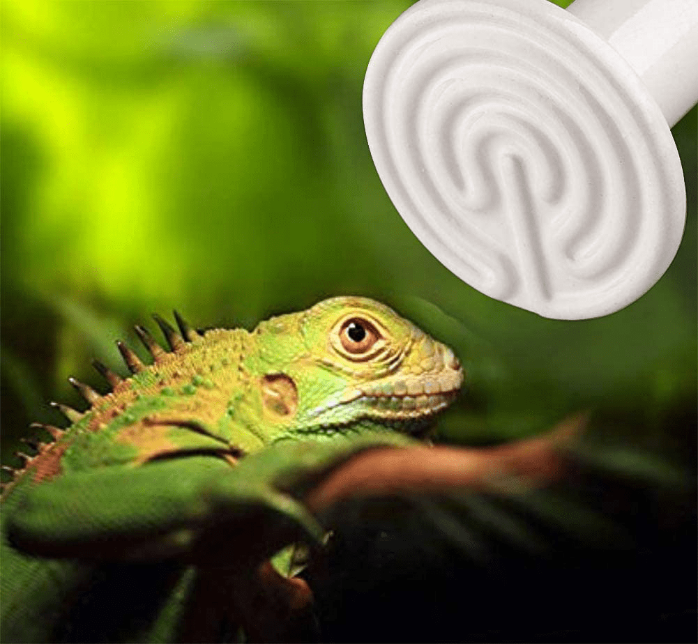 2 Pack 100W White Infrared Heat Lamp Bulbs, Ceramic Heatting Emitter Brooder Coop Pet IR Lamp Bulbs for Reptile like Snake, Tortoise so On, No Light