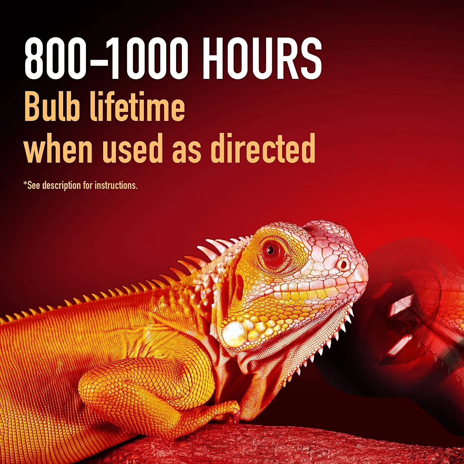 Iguana heat lamp wattage best sale