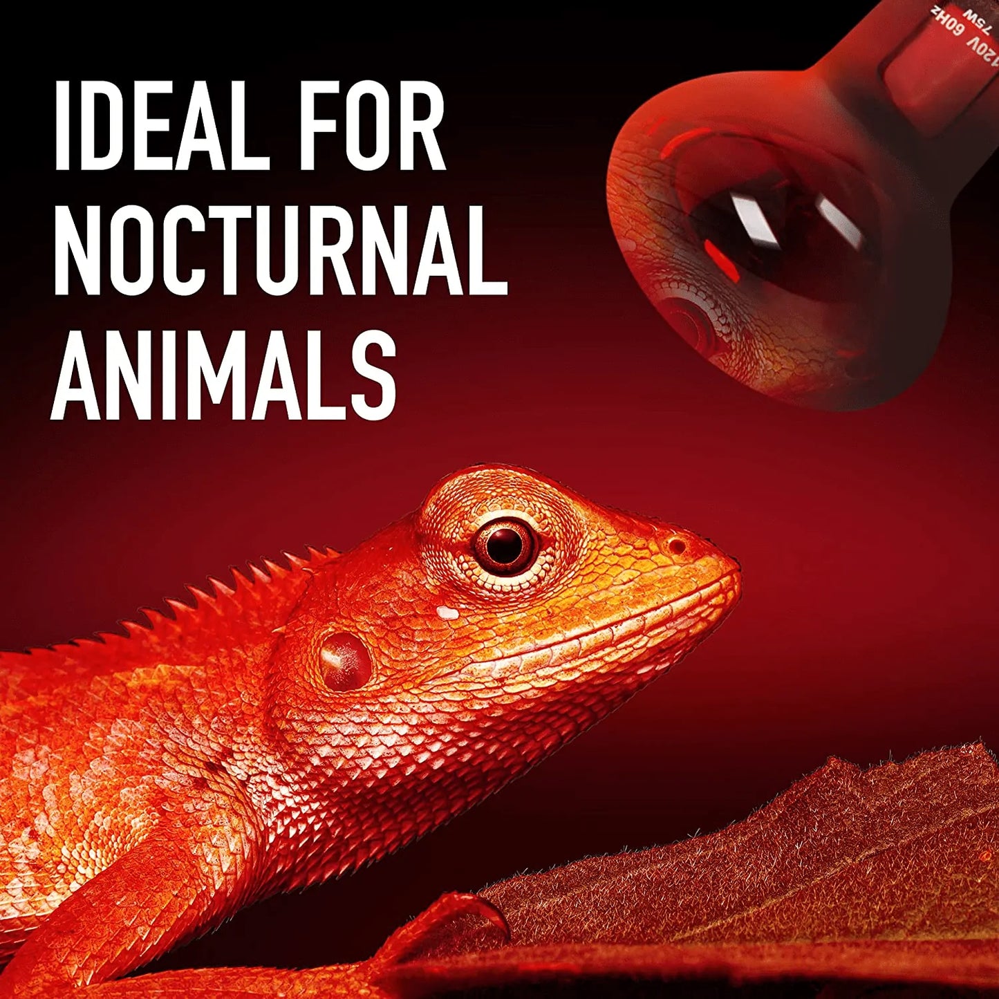 [2-Pack]‌ ‌75‌ ‌Watt‌ ‌Infrared‌ ‌Heat‌ ‌Lamp Bulb‌ ‌For‌ ‌Reptiles‌ ‌-‌ ‌‌ Keeps‌ ‌Your‌ ‌Animals‌ ‌Warm‌ ‌-‌ ‌Red‌ ‌Heat‌ ‌Lamp‌ ‌Bulb‌ ‌Compatible‌ ‌With‌ ‌A‌ ‌Variety‌ ‌Of‌ ‌Enclosures‌ Animals & Pet Supplies > Pet Supplies > Reptile & Amphibian Supplies > Reptile & Amphibian Habitat Heating & Lighting Impresa   
