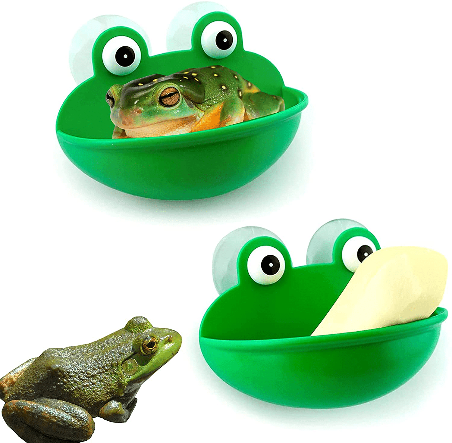 2 Pack Amphibious Aquatic Frog Habitat with Sucker,Cute Aquarium Wall-Mounted Decoration for Frog Toad Lizard Gecko Tortoise and Other Small Aquatic Animals