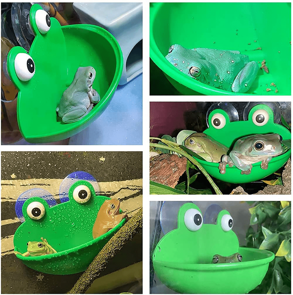2 Pack Amphibious Aquatic Frog Habitat with Sucker,Cute Aquarium Wall-Mounted Decoration for Frog Toad Lizard Gecko Tortoise and Other Small Aquatic Animals Animals & Pet Supplies > Pet Supplies > Small Animal Supplies > Small Animal Habitat Accessories Aswewamt   