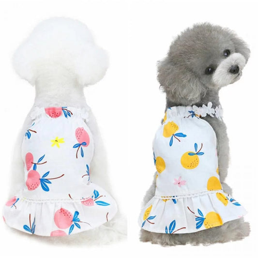 2 Pack Dog Dress for Small Dog Girl Puppy Clothes Female Princess Tutu Striped Skirt Summer Shirt for Chihuahua Yorkies Cat Pet Apparel Outfits, Set of 2 Animals & Pet Supplies > Pet Supplies > Dog Supplies > Dog Apparel Lovegab XS Yellow and pink 