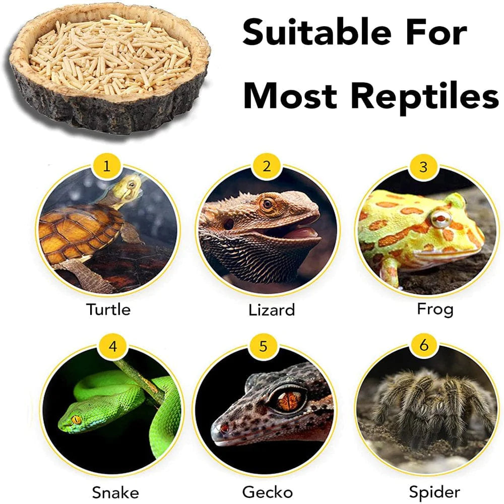 2 Pack Reptile Food Bowls - Reptile Water and Food Bowls, Novelty Food Bowl for Lizards, Young Bearded Dragons, Small Snakes and More - Made from Non-Toxic, Bpa-Free Plastic Animals & Pet Supplies > Pet Supplies > Small Animal Supplies > Small Animal Habitat Accessories Miruku   