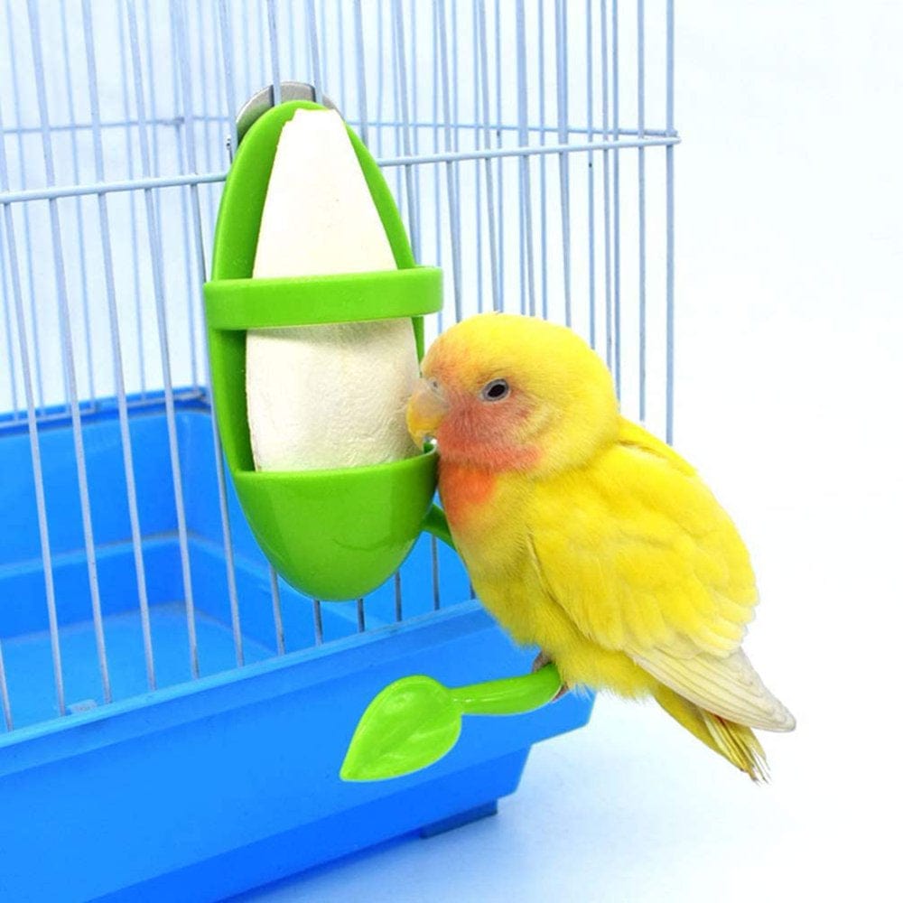 2 Pcs Bird Cuttlebone Holder with Perches Plastic Cuddle Bone Feeding Racks Parrot Cage Stands Accessories for Cockatiels Parakeets Budgies Finches Green Animals & Pet Supplies > Pet Supplies > Bird Supplies > Bird Cage Accessories Morease   