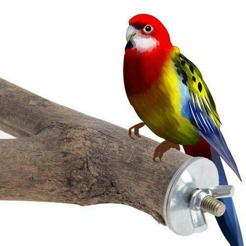 2 PCS Bird Perch Stand Toy, Natural Wood Parrot Perch Bird Cage Branch Perch Accessories for Parakeets Cockatiels Conures Macaws Finches Love Birds,6 in by TWSOUL Animals & Pet Supplies > Pet Supplies > Bird Supplies > Bird Cage Accessories TWSOUL   