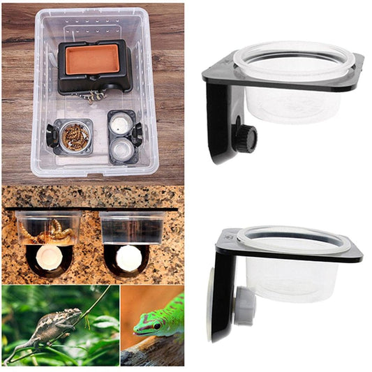 2 Pcs Reptile Amphibians Chameleon Feeding Ledge Bowls with Suction Cup Animals & Pet Supplies > Pet Supplies > Reptile & Amphibian Supplies > Reptile & Amphibian Food Gazechimp   