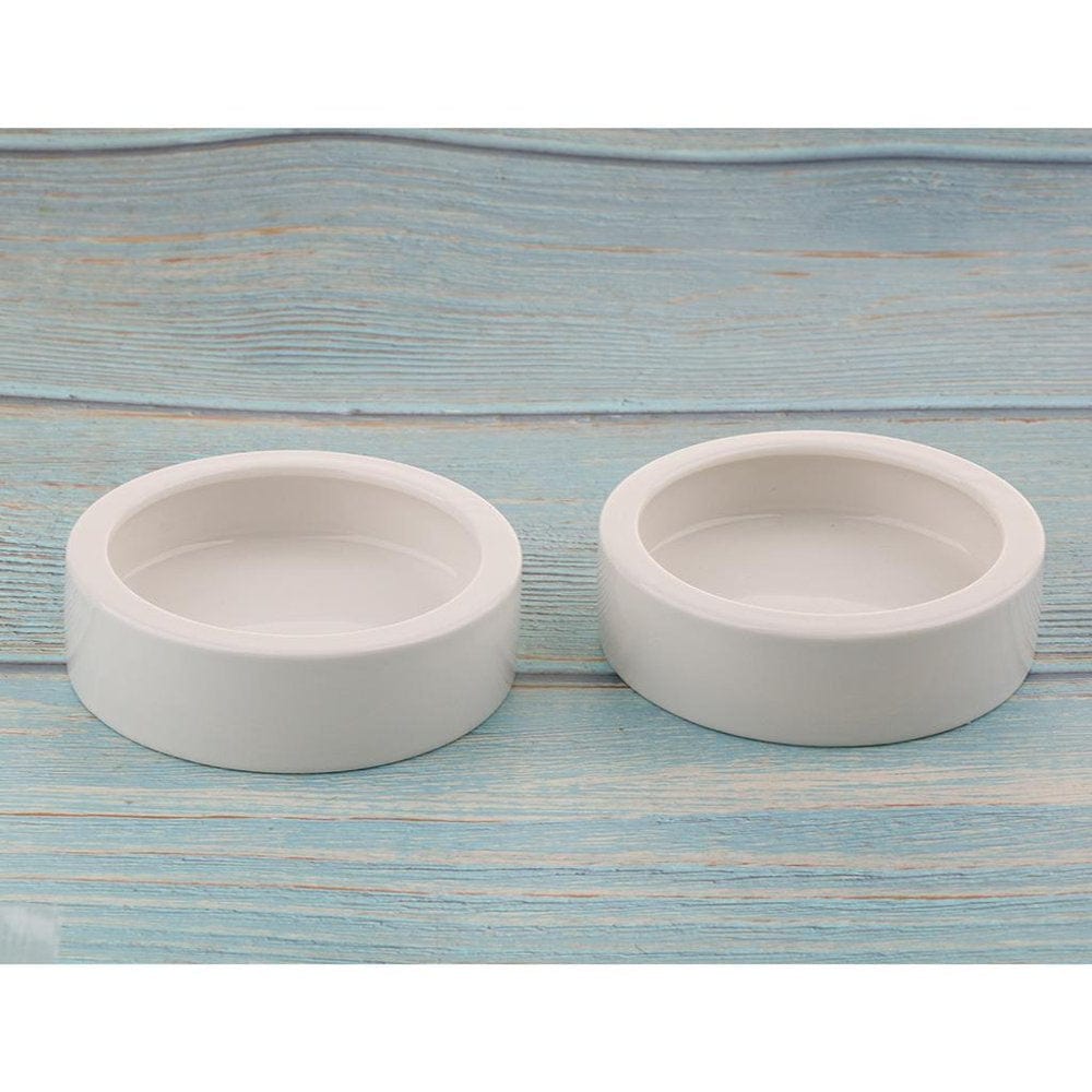 2 Pcs Reptile Feeder Ceramics Food Bowl Anti-Escape Dish for for Amphibians Gecko Chameleon C Style Animals & Pet Supplies > Pet Supplies > Reptile & Amphibian Supplies > Reptile & Amphibian Food DYNWAVE M  