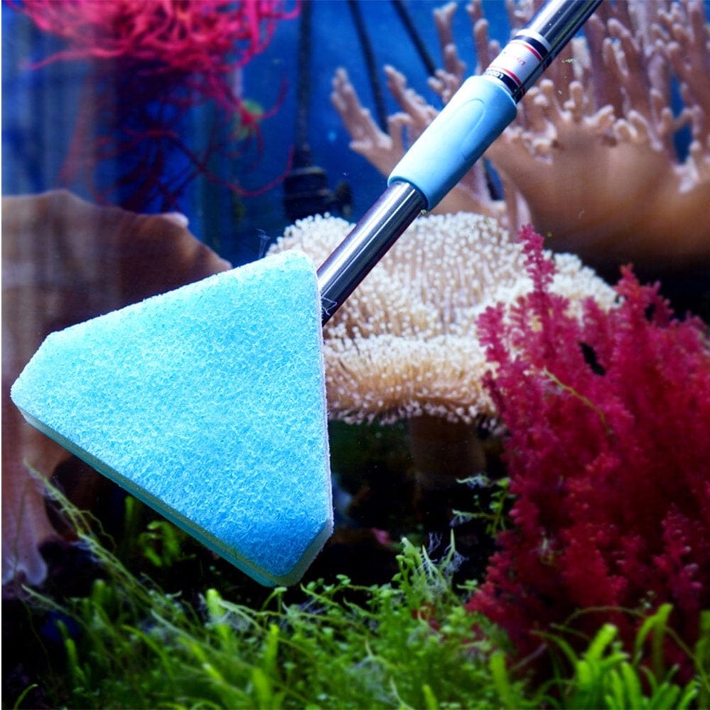 2 Pcs Telescopic Sponge Cleaning Brush Scrubber Aquarium Fish Tank Cleaning Brush Tool for Home Shop Supplies (Rectangle, Triangl Animals & Pet Supplies > Pet Supplies > Fish Supplies > Aquarium Cleaning Supplies FRCOLOR   
